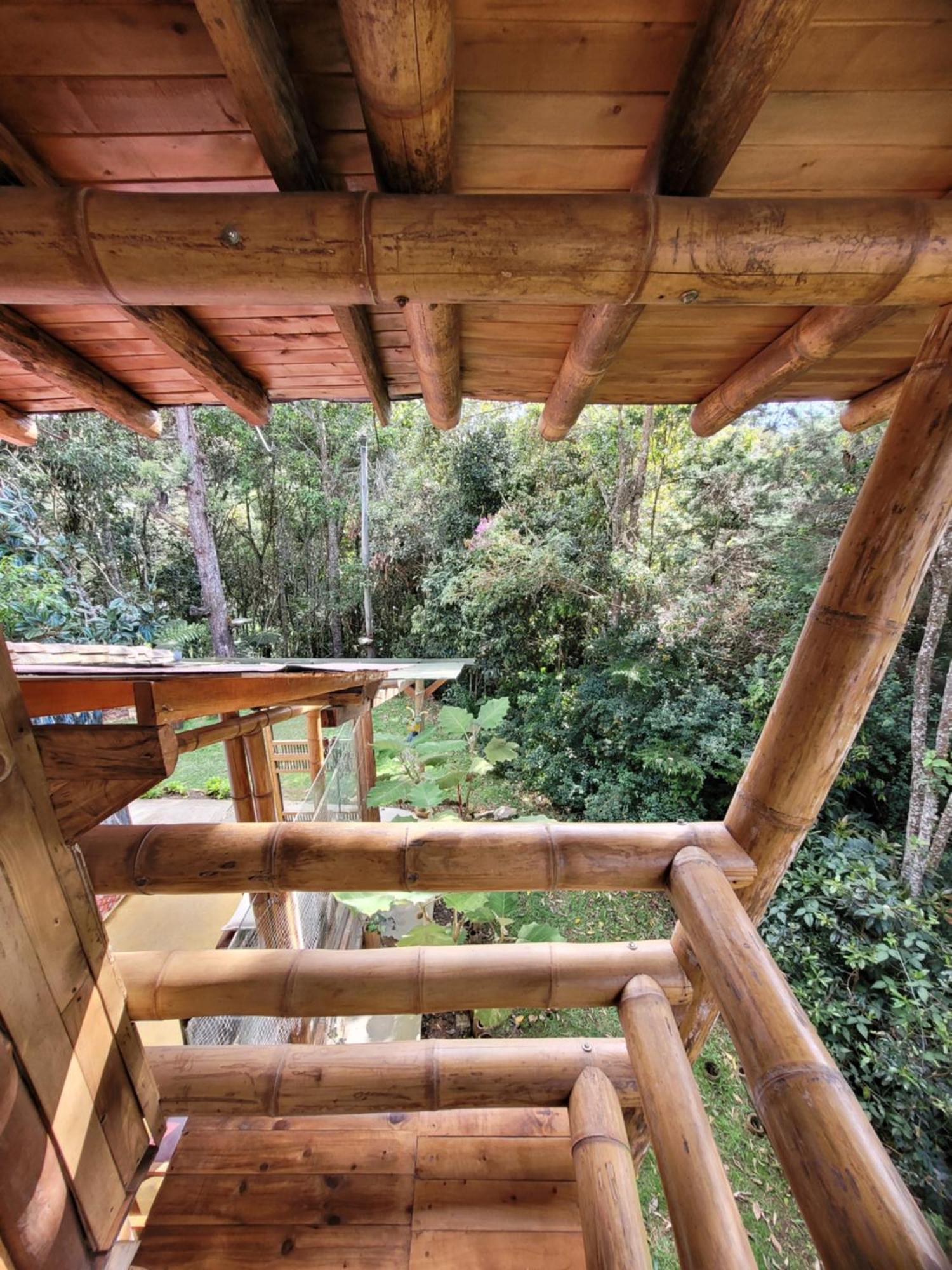 Pensión Refugio En El Bosque Santa Elena (Antioquia)